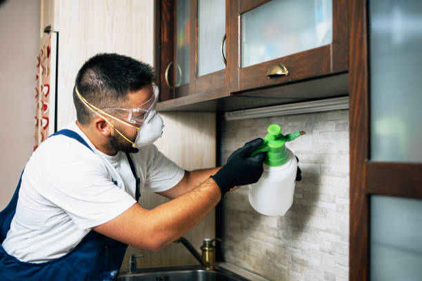 Best Flea Control Services  in Rutgers University Busch Campus, NJ