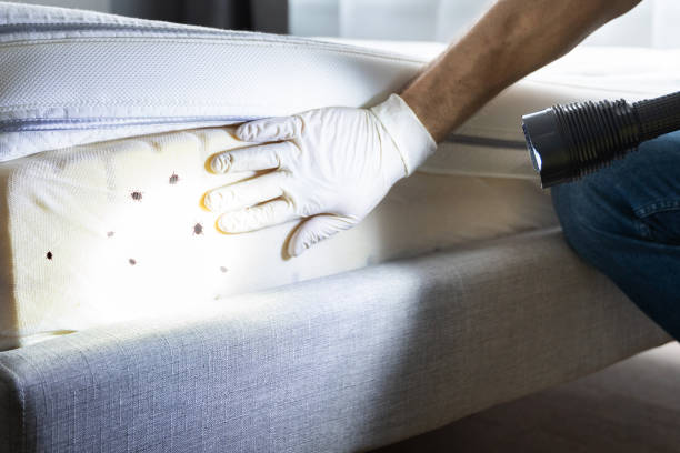Best Flea Control Services  in Rutgers University Busch Campus, NJ